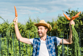 agricoltore con in mano carote