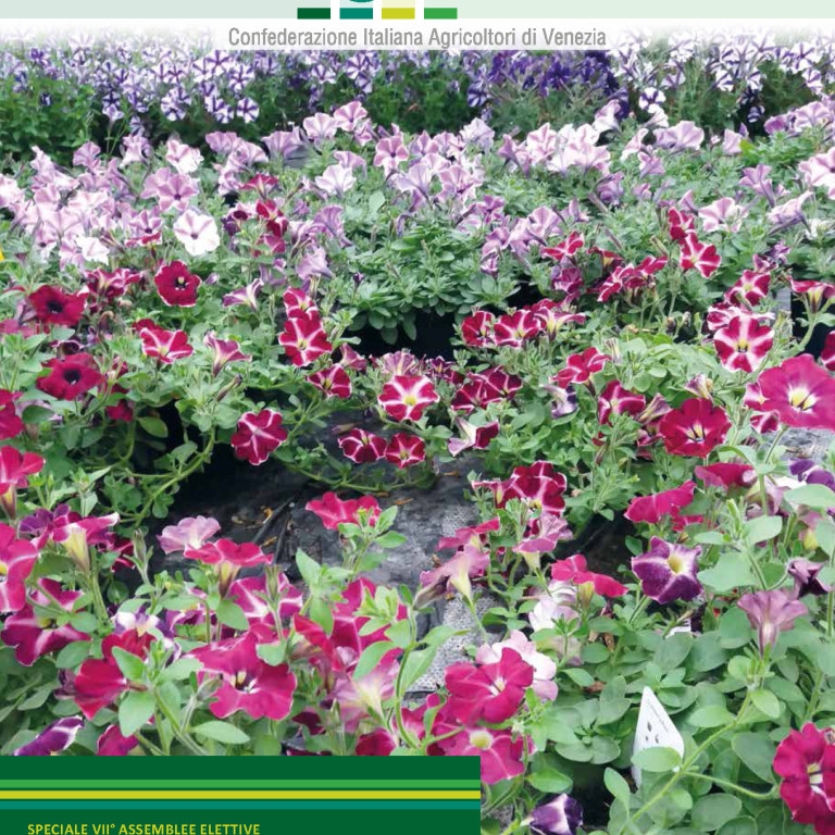 Nuova Agricoltura Cia Venezia